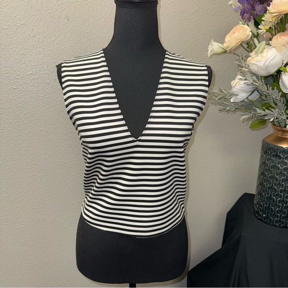 Zara Tops - ZARA Black White Stripe Sleeveless V Neck Top Minimalist Classic Medium